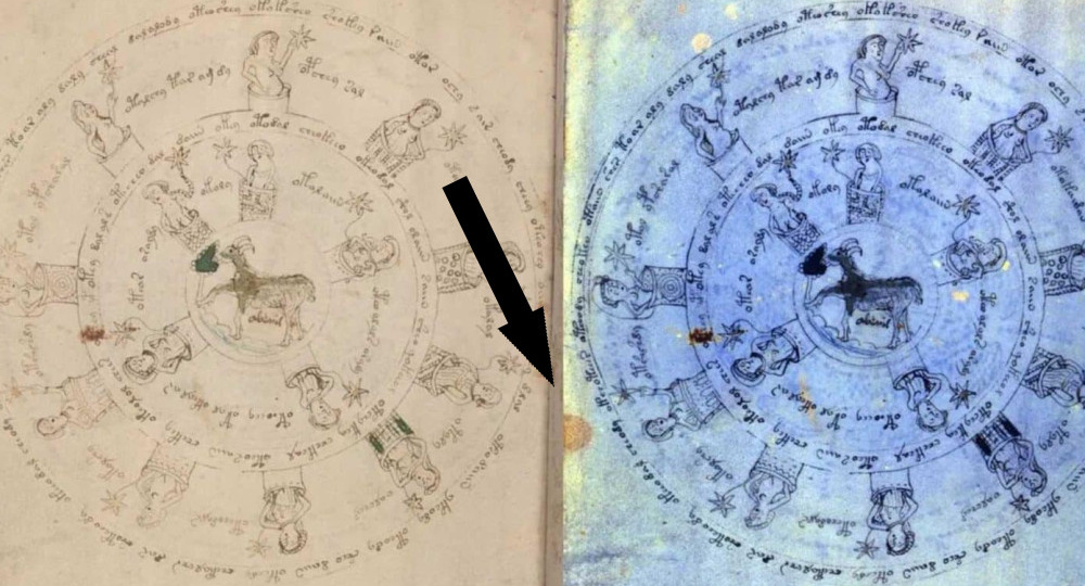 ИИ наконец пробил тайну рукописи Войнича и это перевернет всё