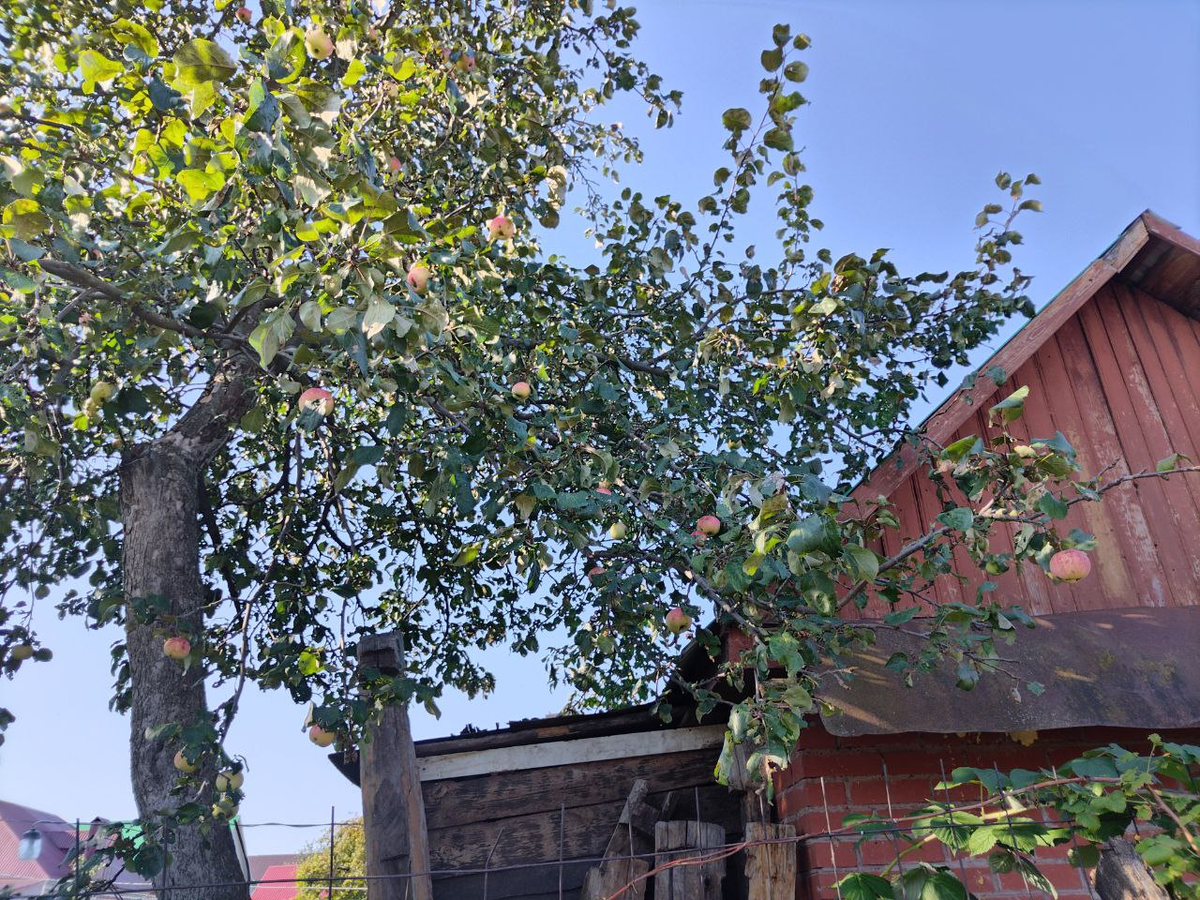 Фото автора.