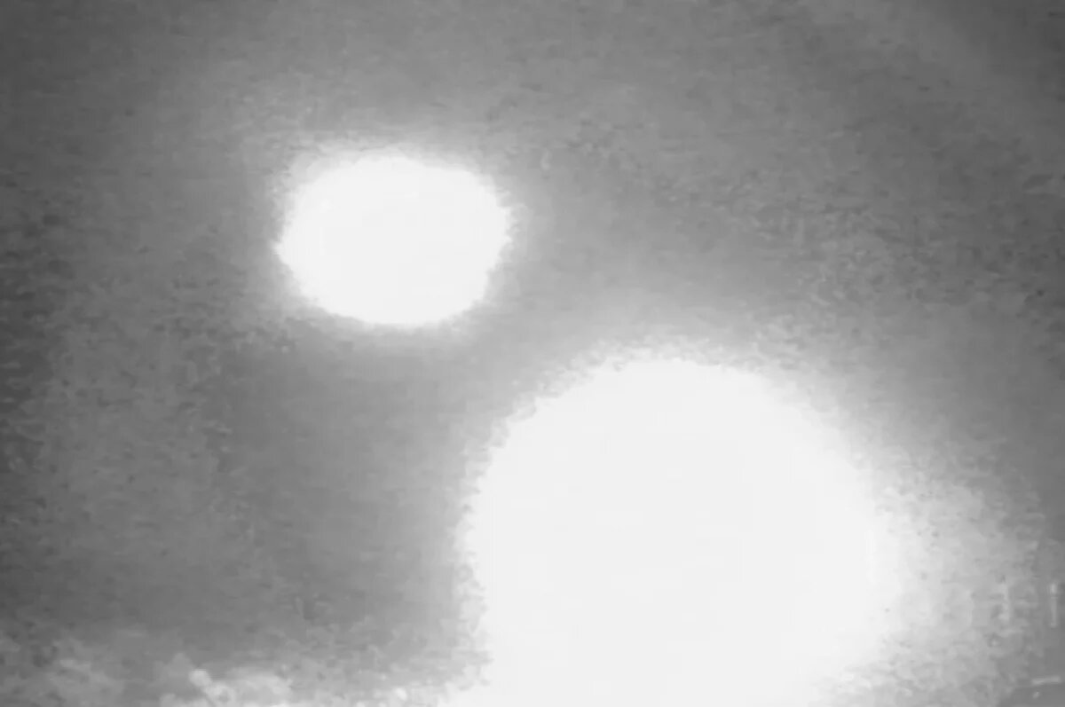    LS: злые духи попали в фотоловушку для животных в Чили