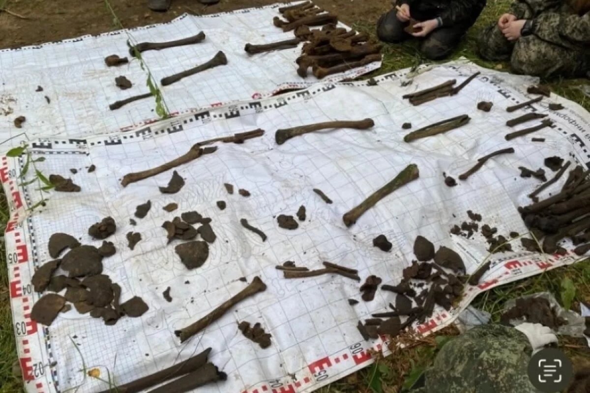    Останки 12 солдат подняли под Красногородском во время «Вахты памяти»