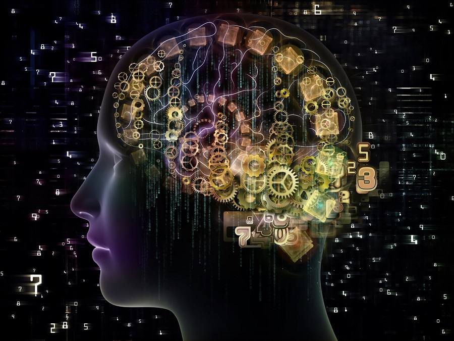 Сложные механизмы памяти работают быстрее, если задействованы эмоции