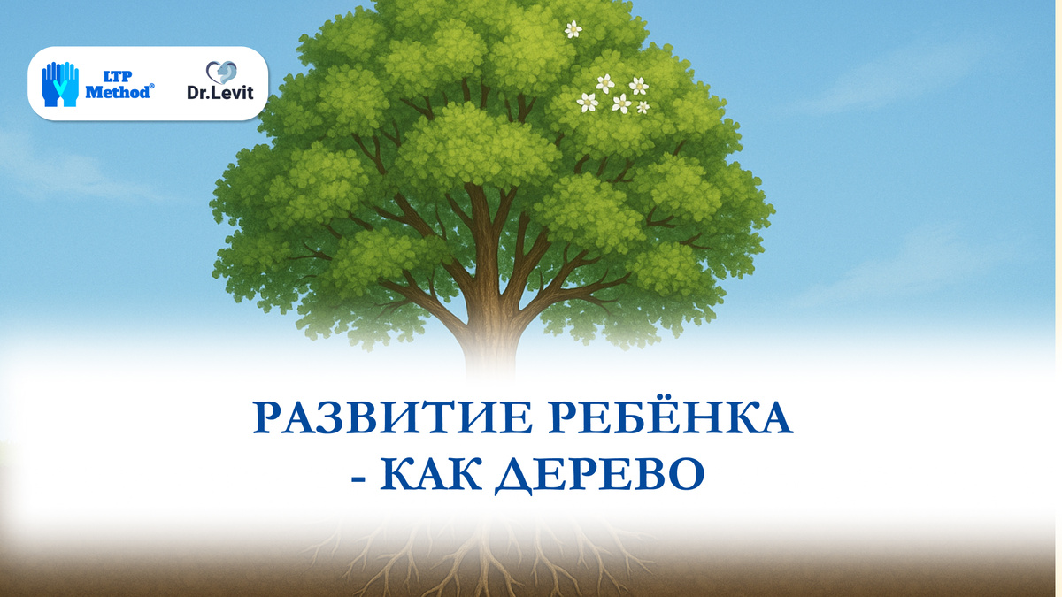 У каждой методики своя роль: крона, цветы, ствол или корни.