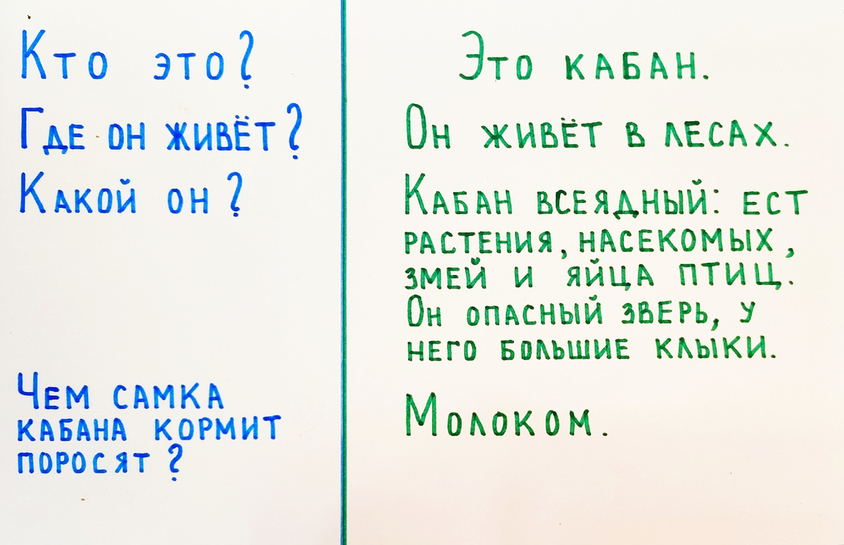 Диалог для тех, кто уже умеет отвечать на вопросы развёрнуто. 