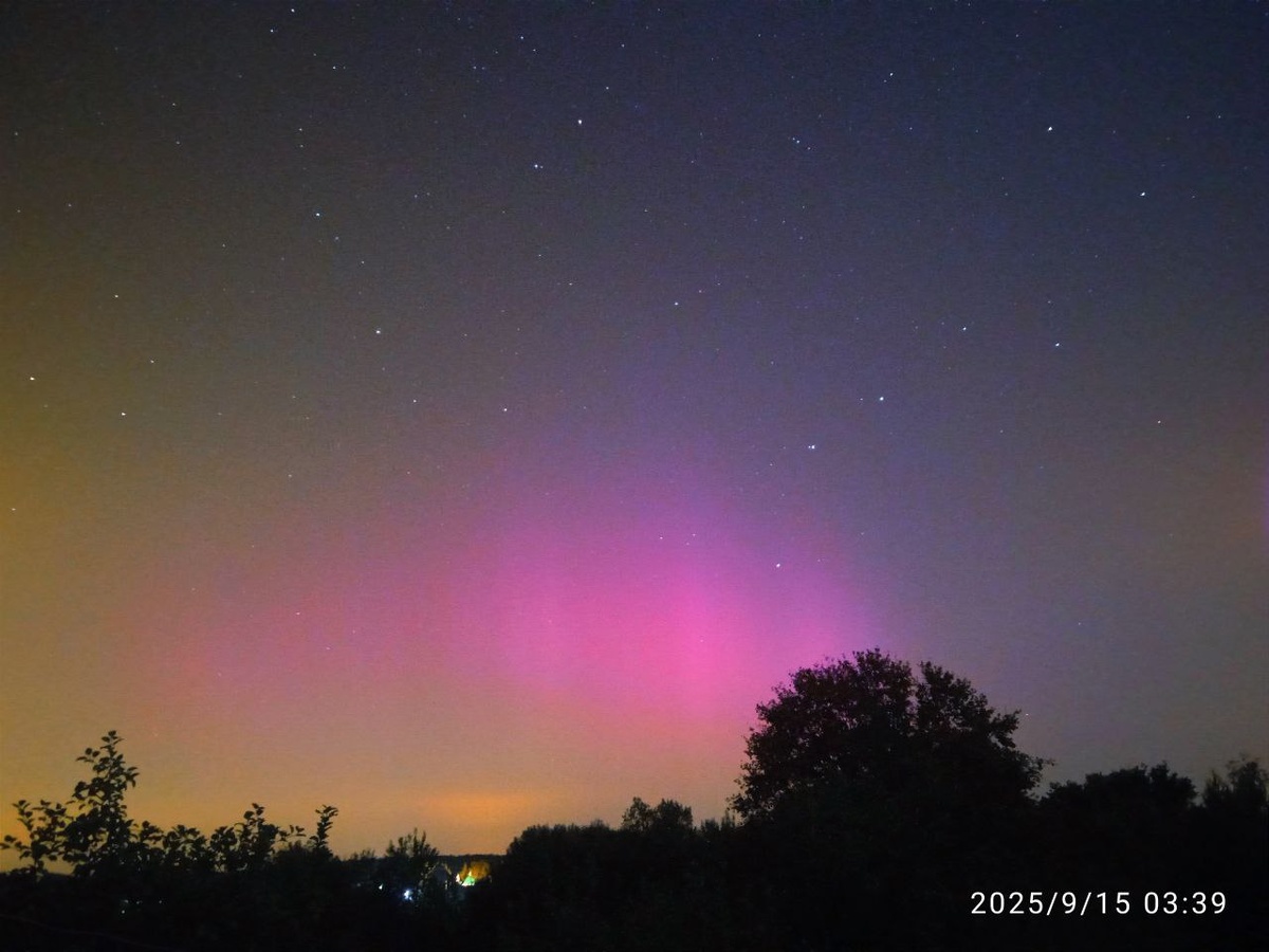    Фото: телеграм-канал RZNASTRO / Илья Сафрошин