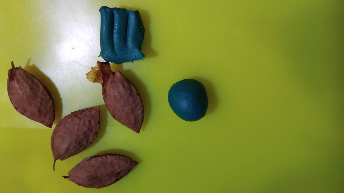 Для понимания масштаба, косточки сливовые.  Фото из личного архива. Только реальнве детские работы