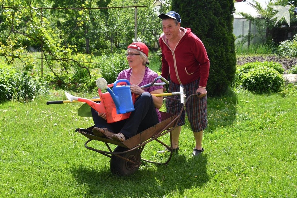    В Беларуси предписали скашивать траву выше 20 сантиметров. Это касается как частых подворий, так и территорий, закрепленных за предприятиями и организациями. Фото носит иллюстративный характер. Владимир ВЕЛЕНГУРИН