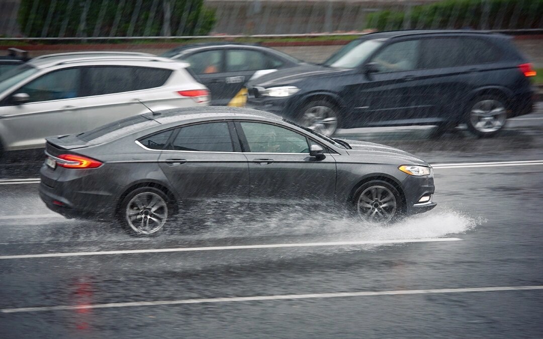 Фото: Tricky_Shark / Shutterstock / FOTODOM