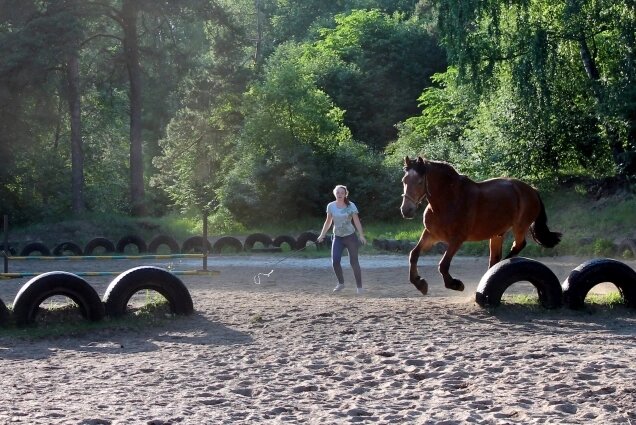    Фото: соцсети