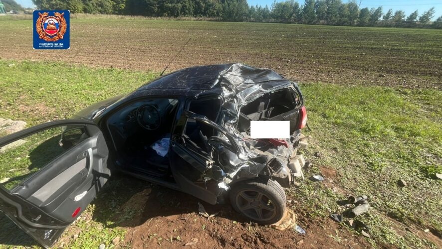    Фото: Госавтоинспекция Альметьевского района