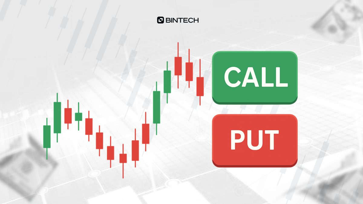 Что такое бинарные опционы