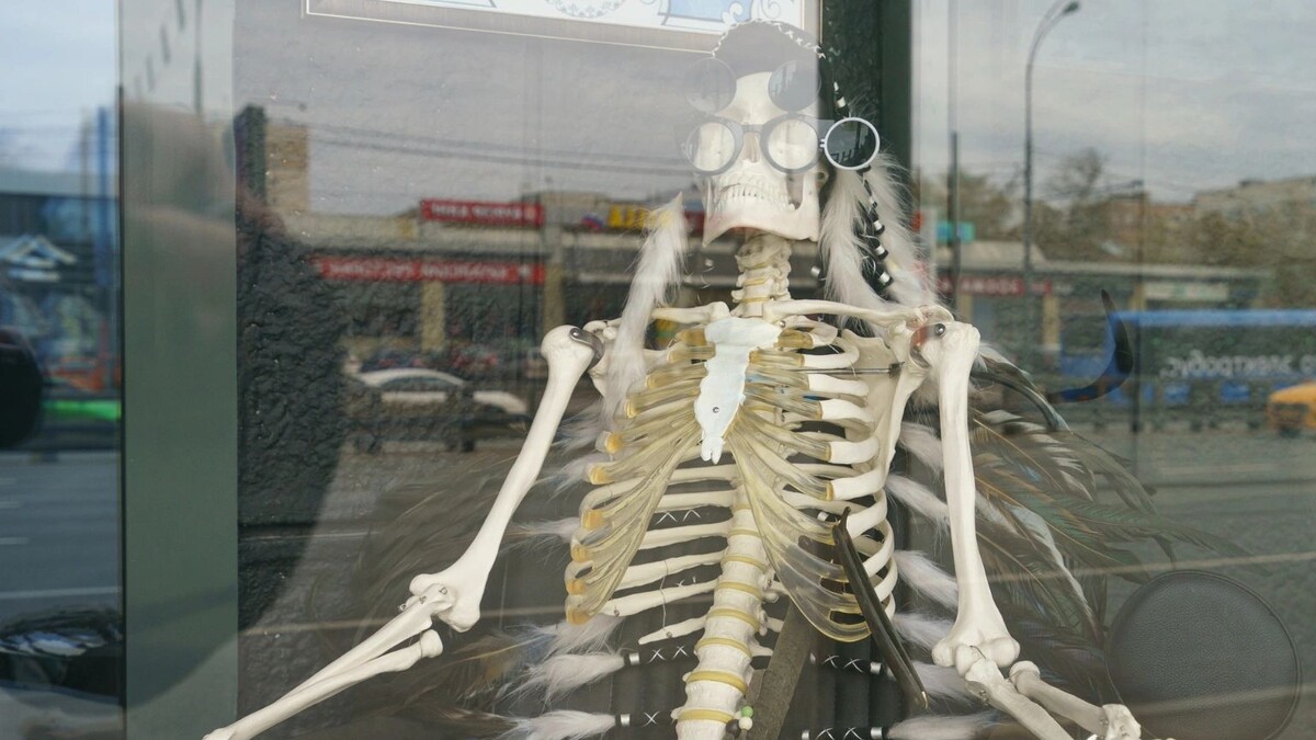    Фото: YuryKara/Shutterstock/Fotodom