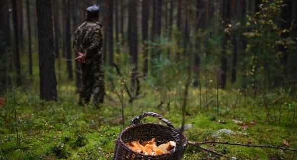    РИА «Новости»