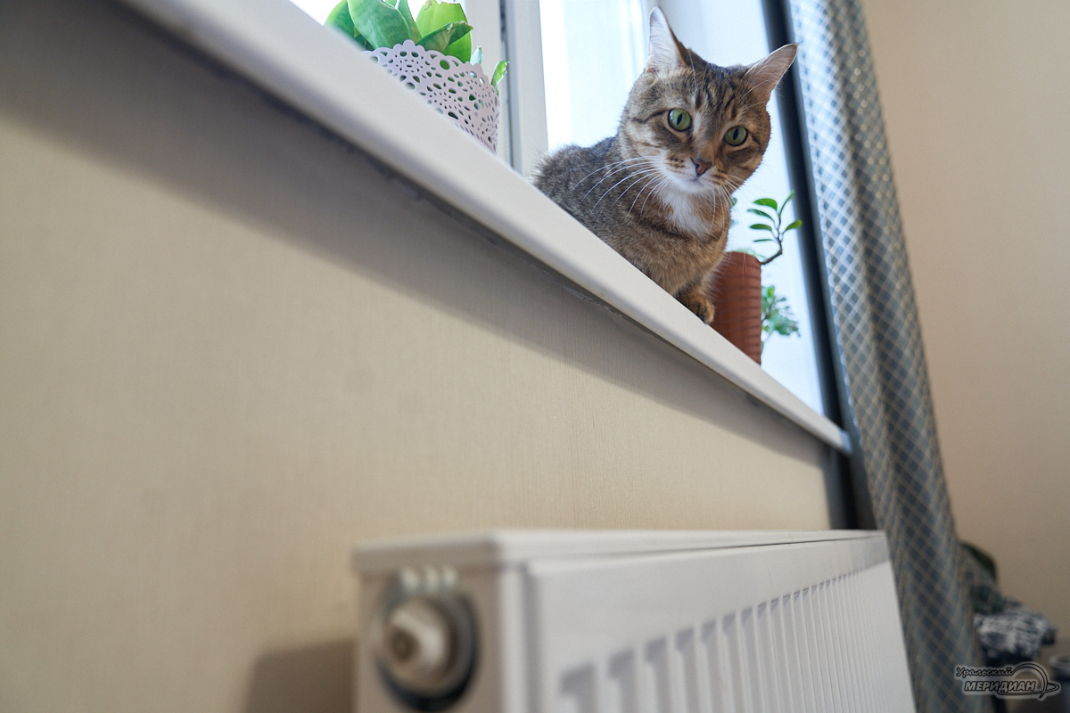    Фото: Лидия Аникина © ИА «Уральский меридиан»