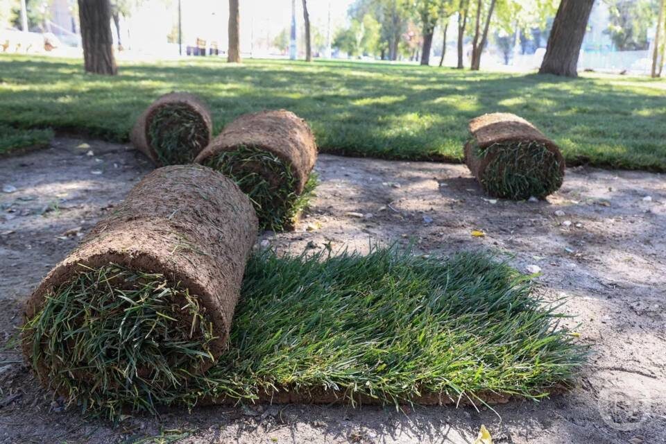    Фото: Дмитрий Рогулин / "Городские вести"