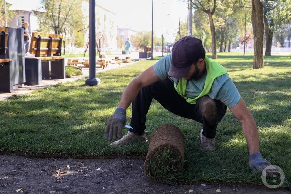   Фото: Дмитрий Рогулин / "Городские вести"