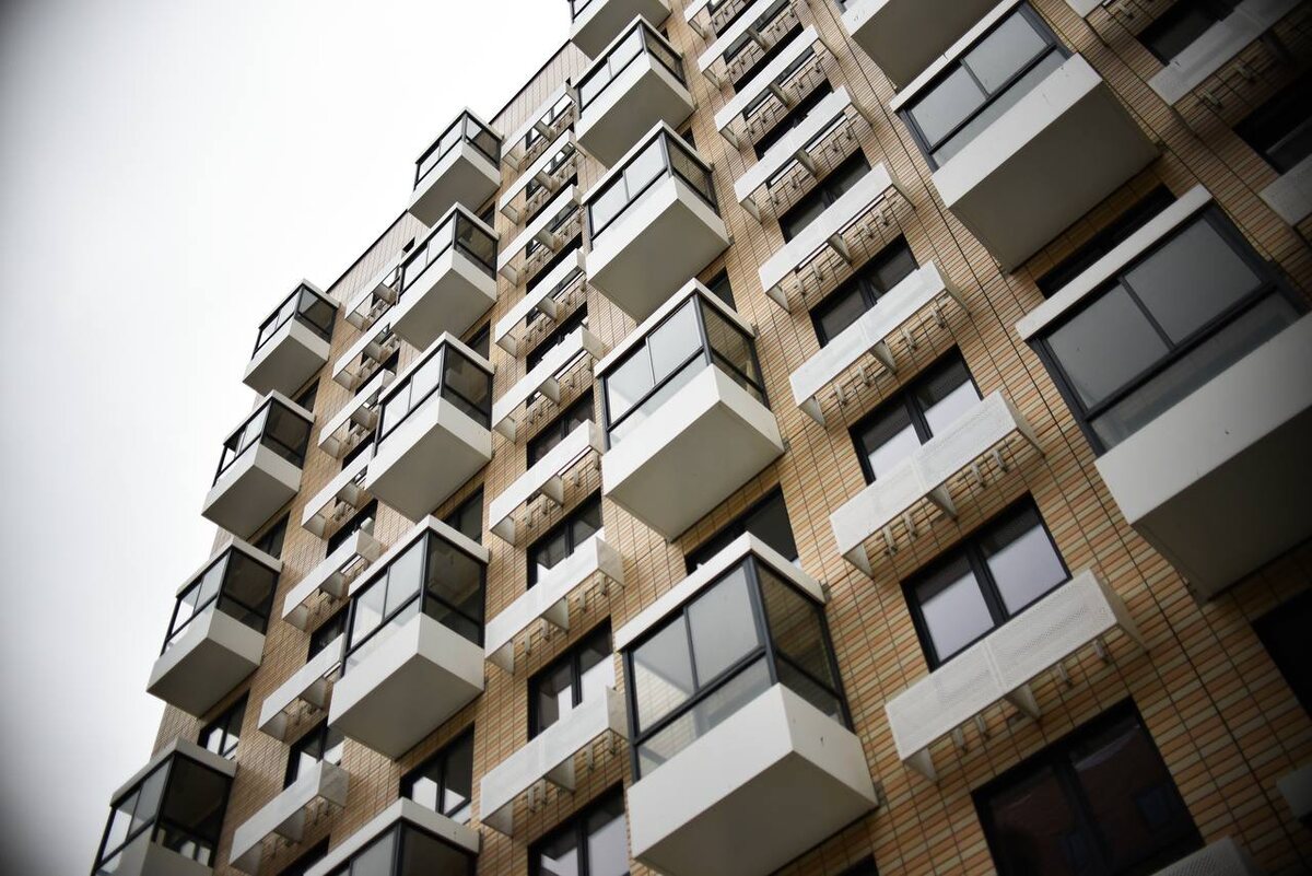 Фото: telegram.org / Стройблок ЛО для СМИ