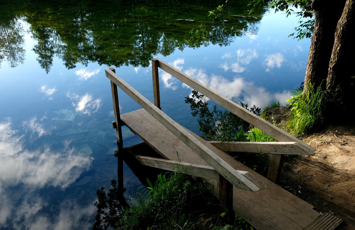 Источник: wikimedia.org