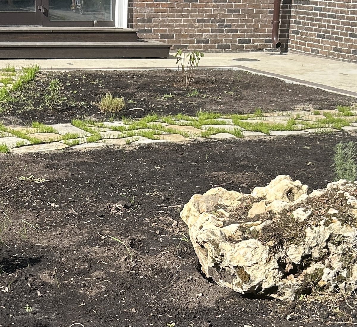 Вон там палочки гортензии стоят. 