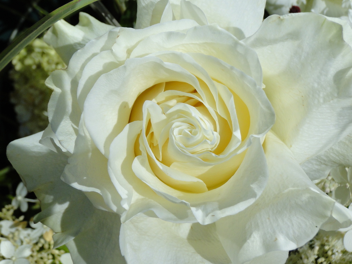 Личный архив. 