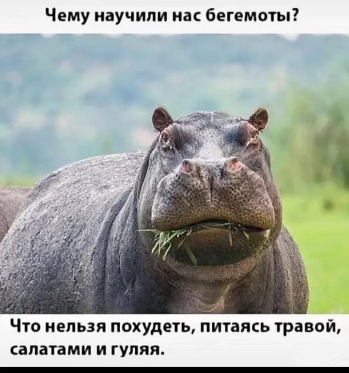 Из свободных источников