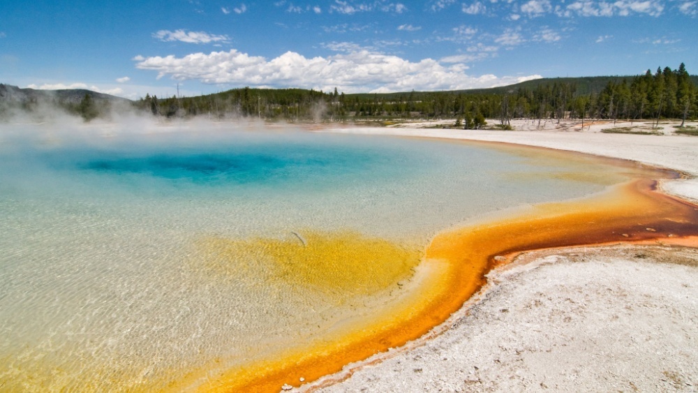     Фото: Vibe Images/Shutterstock/FOTODOM