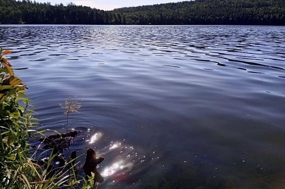    В Оренбуржье нашли пропавшего пенсионера с затонувшим автомобилем