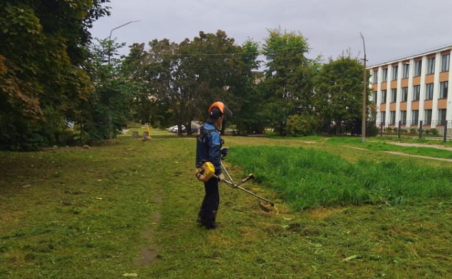    © Администрация Выборгского муниципального района