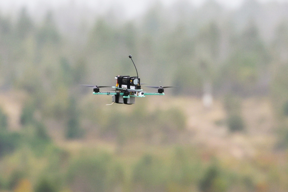    Наталья Шатохина/NEWS.ru