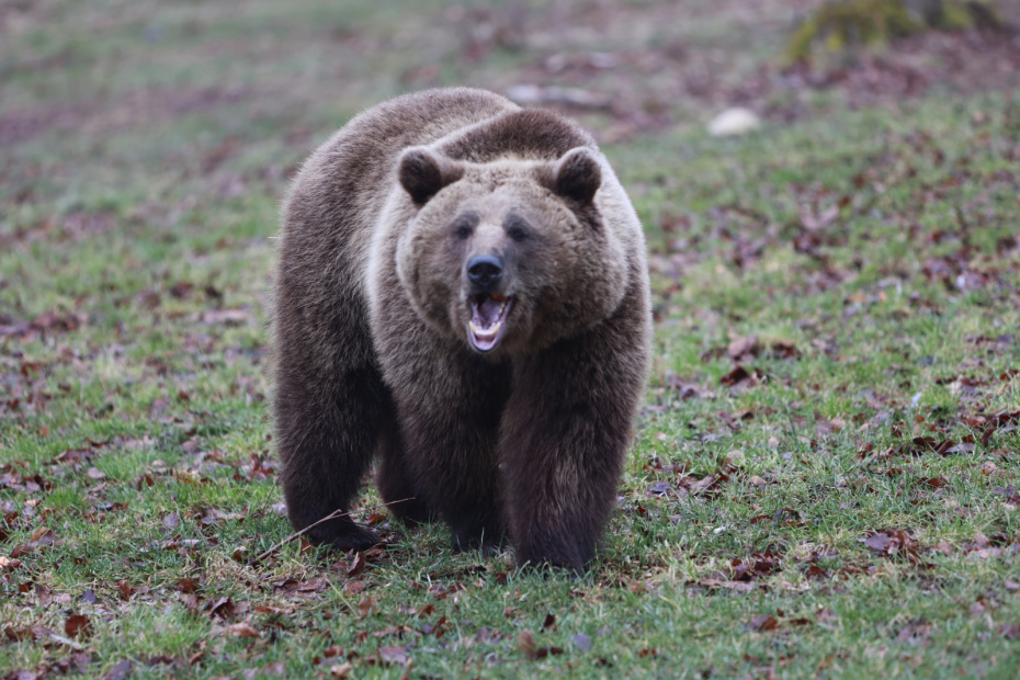    Matthias Bein/dpa/Global Look Press