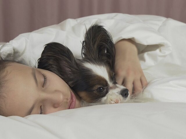    Фото: 123RF/yykkaa