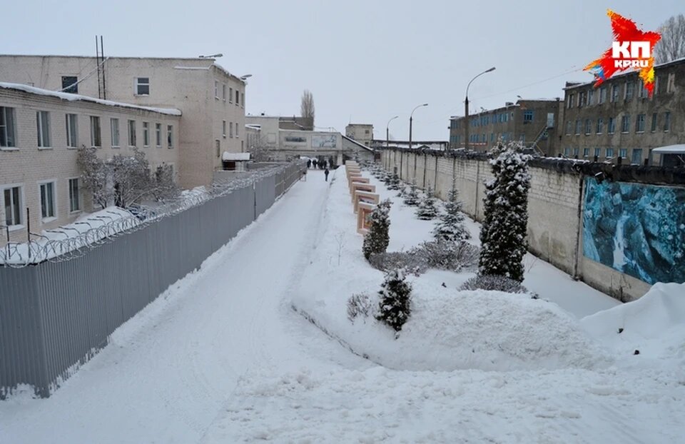 ИК-6. Фото: Лия Мурадьян