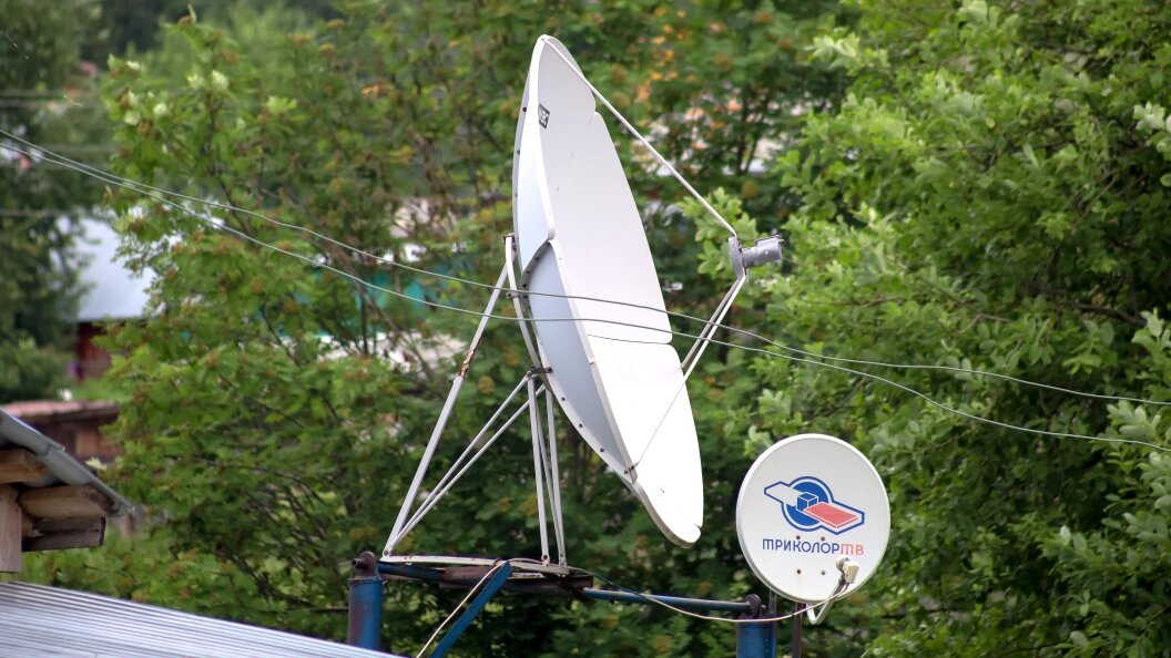    Фото: Elena Mayorova/Global Look Press