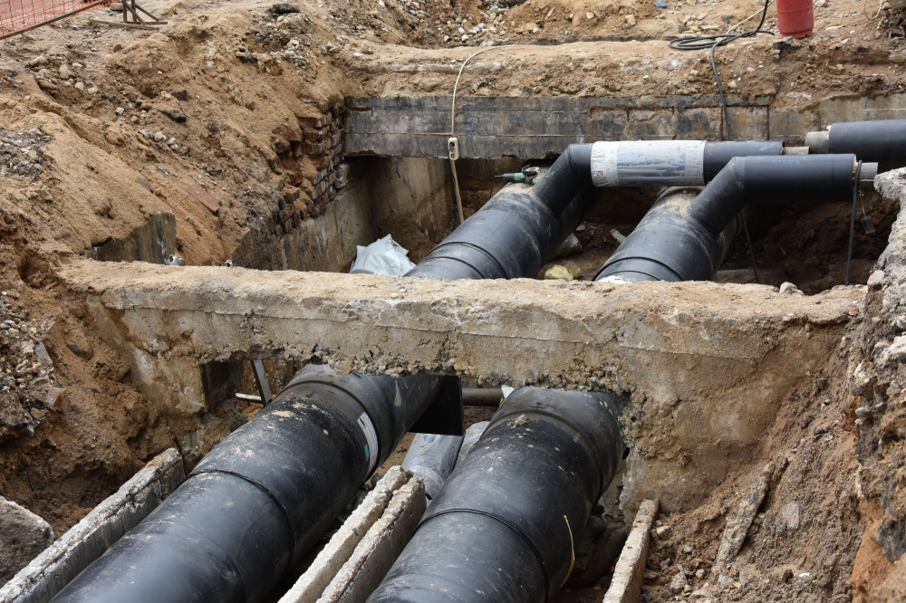    grad.kostroma.gov.ru