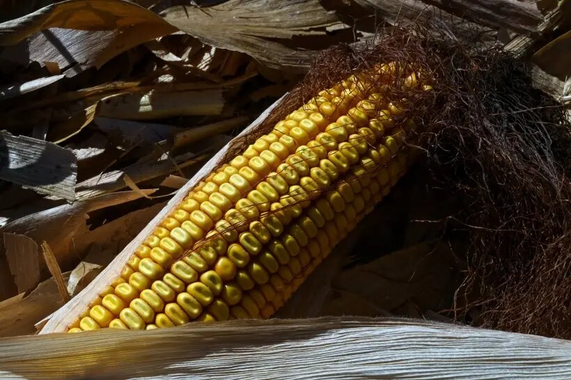     © РИА Новости Александр Погожев