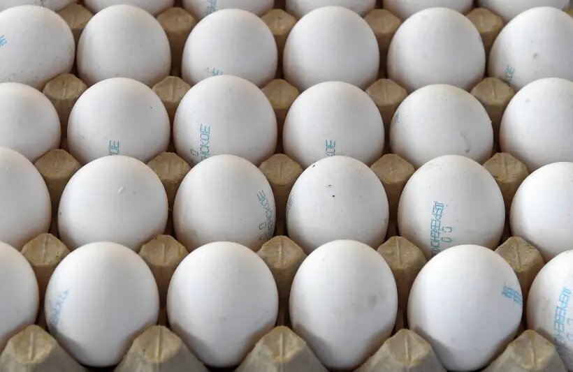     © РИА Новости Илья Наймушин