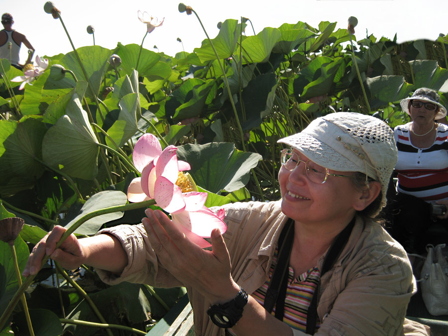 В дельте Волги на лотосовых полях. Фото из личного архива автора, 24.08.2010
