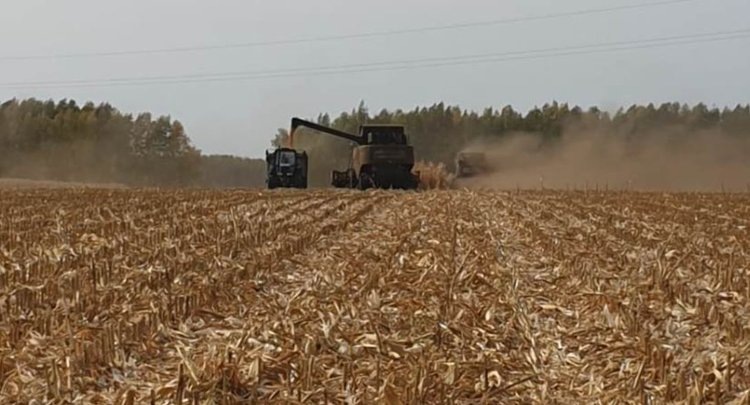    Фото: Правительство Тамбовской области