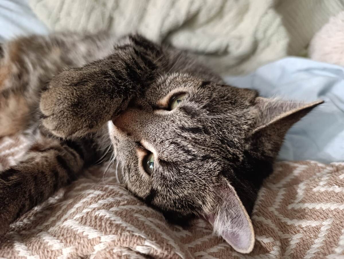 Та самая Буся