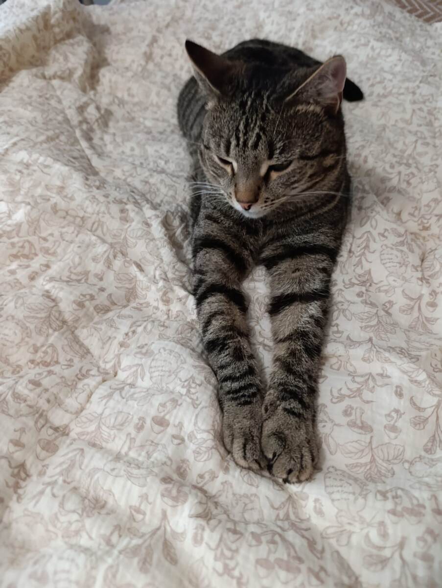 Я? На улице? Да ладно!