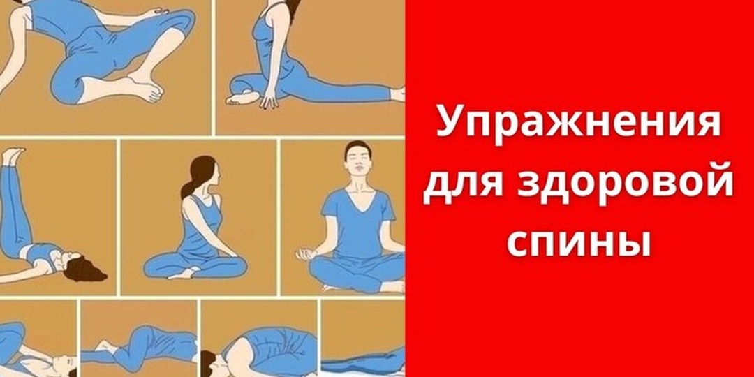 5 простых упражнений для укрепления поясницы, которые избавят от напряжения и оздоровят позвоночник