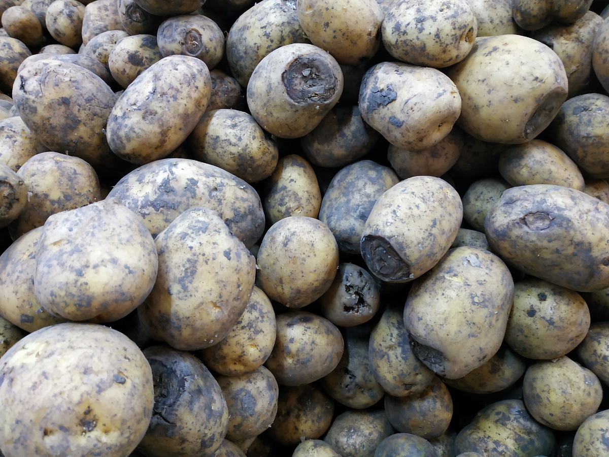 здесь и далее все фото автора статьи