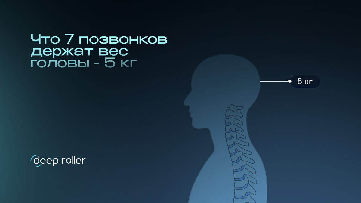 Голова весит 5 кг 