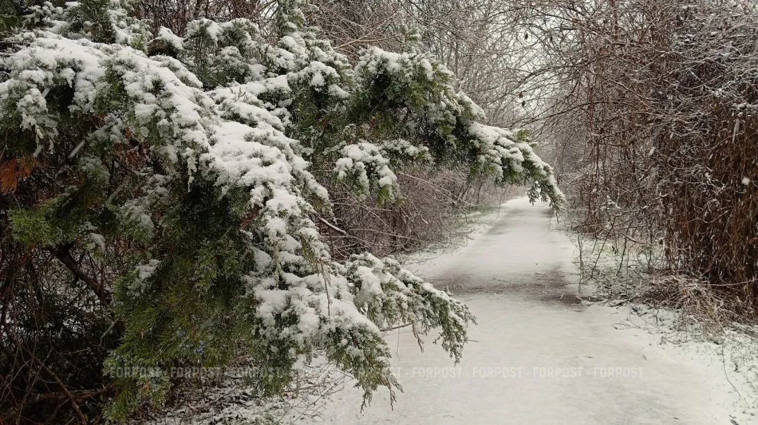 Фото:
Алексей Лохвицкий / ForPost