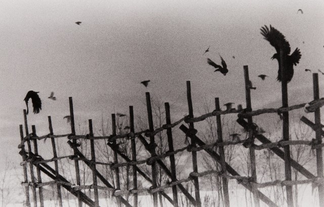 Фотограф Масахиса Фукасэ