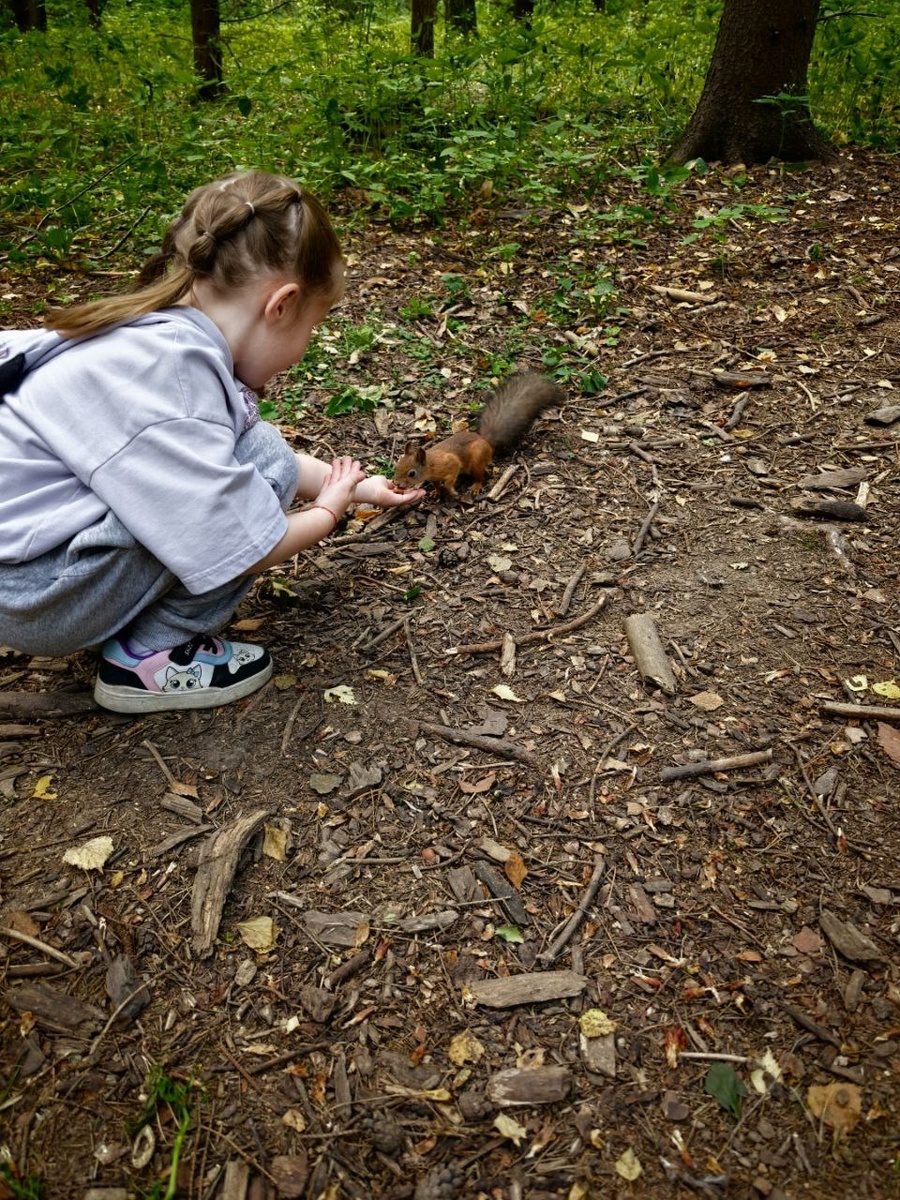 Покормить белок в лесу - отдельный вид удовольствия)