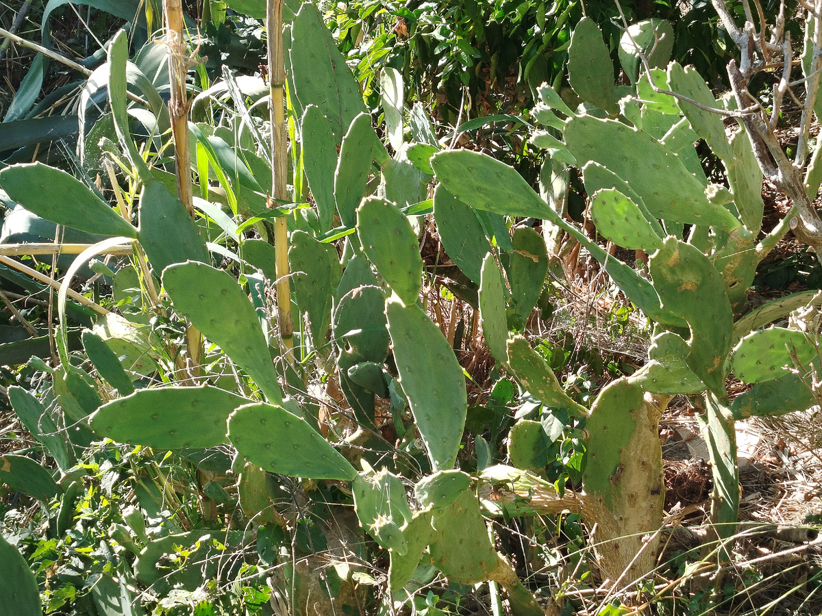 Фото автора. При взгляде на склон никакого ощущения осени не возникает.