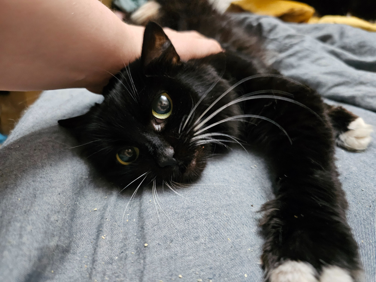 Фото автора. Такая, ей надо попасть к врачу и сдать анализы.