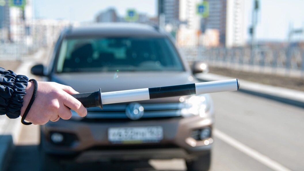    Фото: Svetlana Vozmilova/Global Look Press