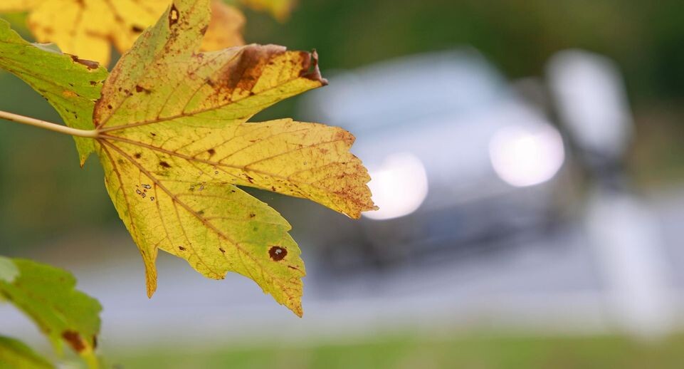    Matthias Bein/dpa / www.globallookpress.com