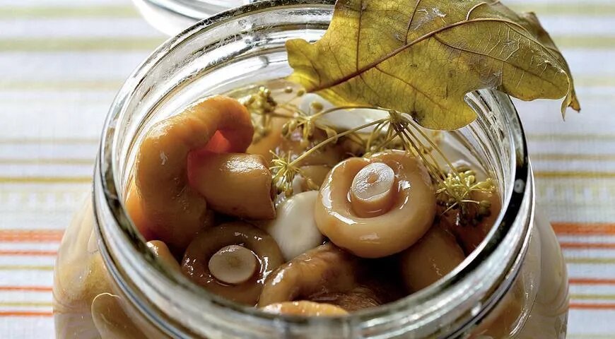 Как засолить грузди на зиму: как добиться идеального вкуса и правильного хруста